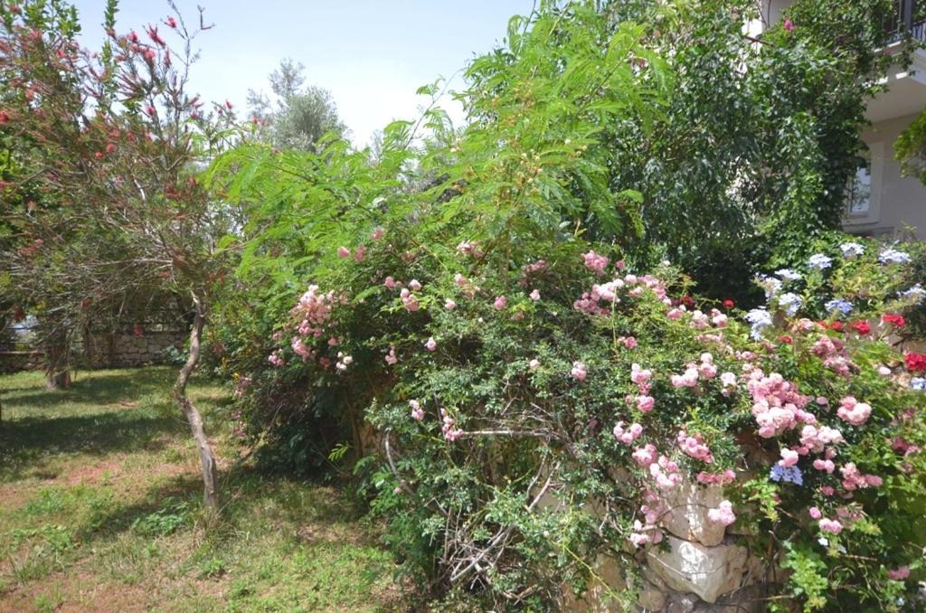 Villa Leton Kleo - Kalkan Center Bagian luar foto
